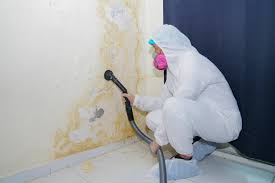 Best Mold Removal for HVAC Installations  in Lakemoor, IL